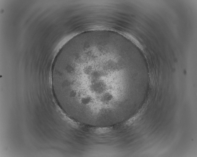 X0000074230839200609011240