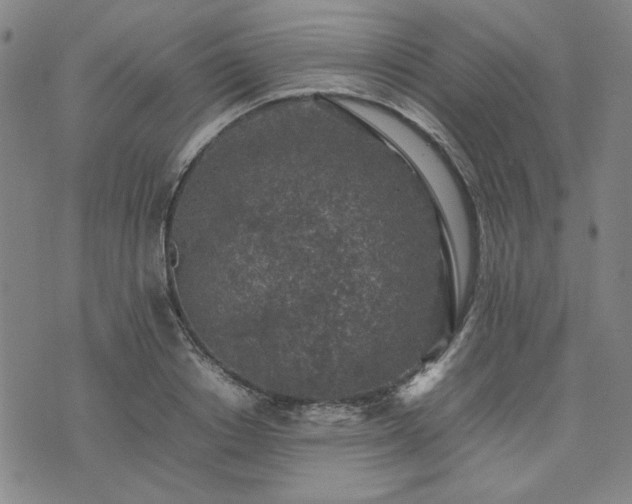 X0000074230842200609011240