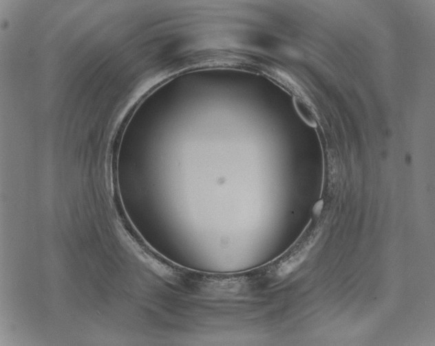 X0000074230843200609011240