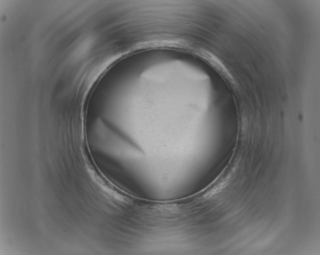 X0000074230844200609011240