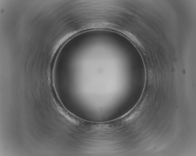 X0000074230846200609011240