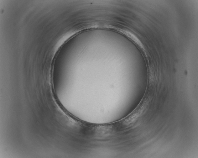 X0000074230847200609011240