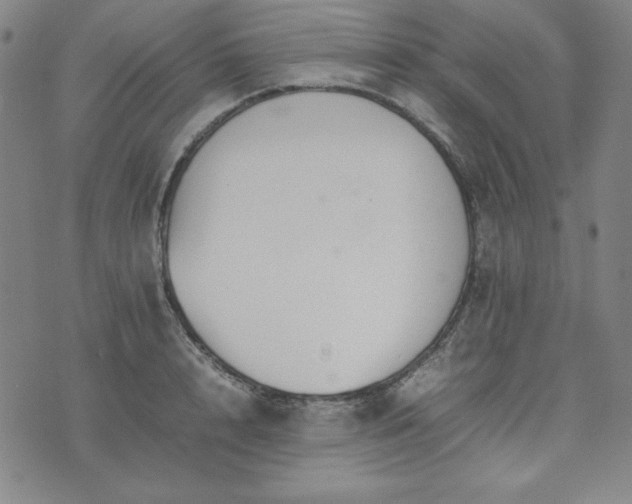 X0000074230848200609011240