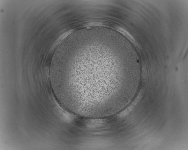 X0000074230849200609011240