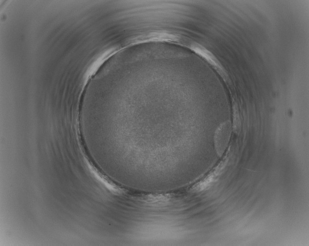 X0000074230850200609011240