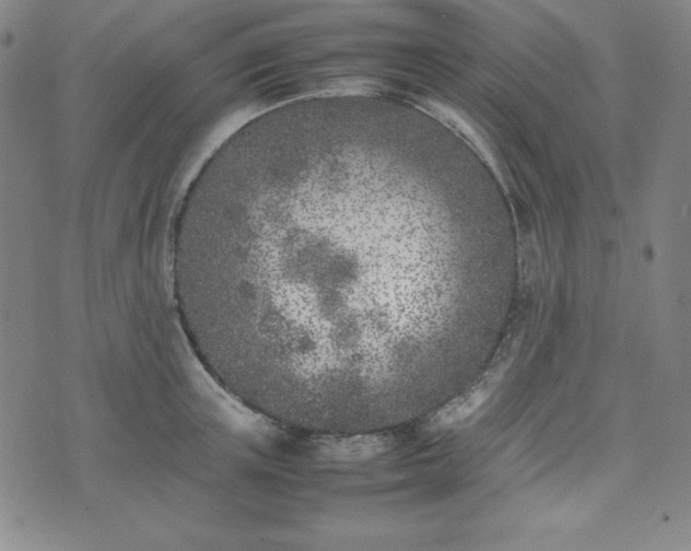 X0000074230851200609011240