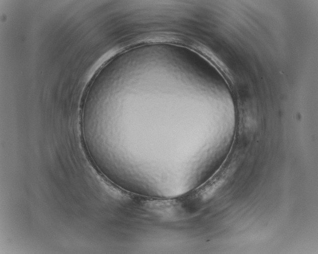 X0000074230853200609011240