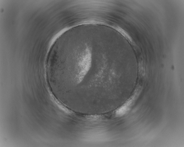 X0000074230854200609011240