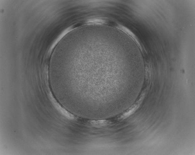 X0000074230859200609011240