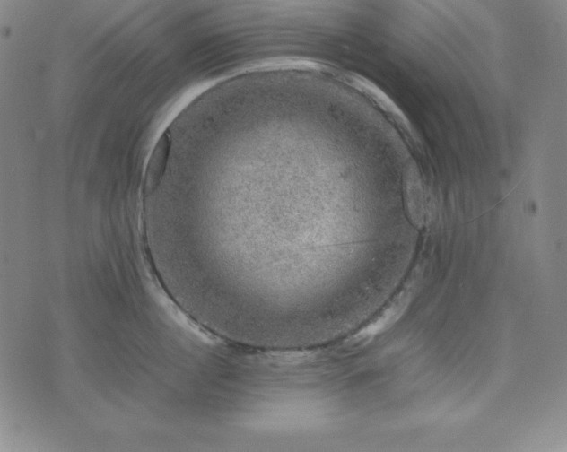 X0000074230860200609011240