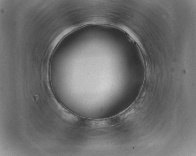 X0000074230861200609011240