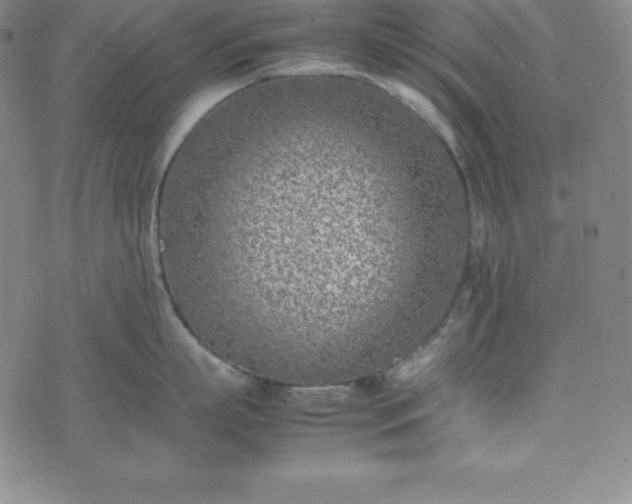 X0000074230863200609011240