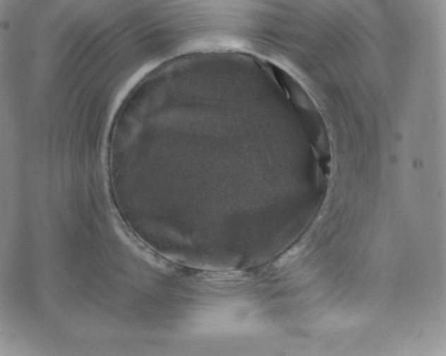 X0000074230864200609011240