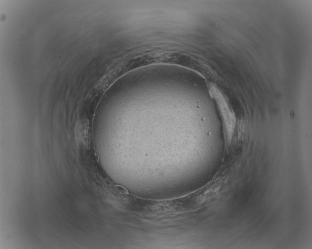 X0000074230867200609011239