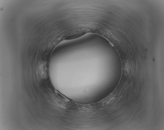 X0000074230868200609011239