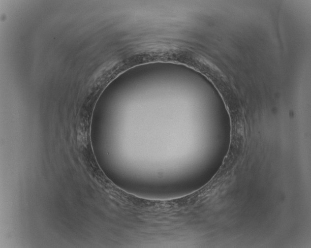 X0000074230869200609011239