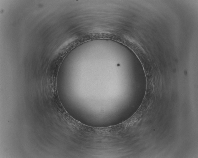 X0000074230870200609011239