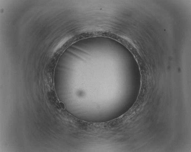 X0000074230871200609011239