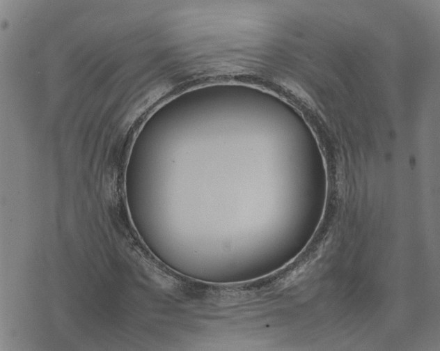 X0000074230873200609011239