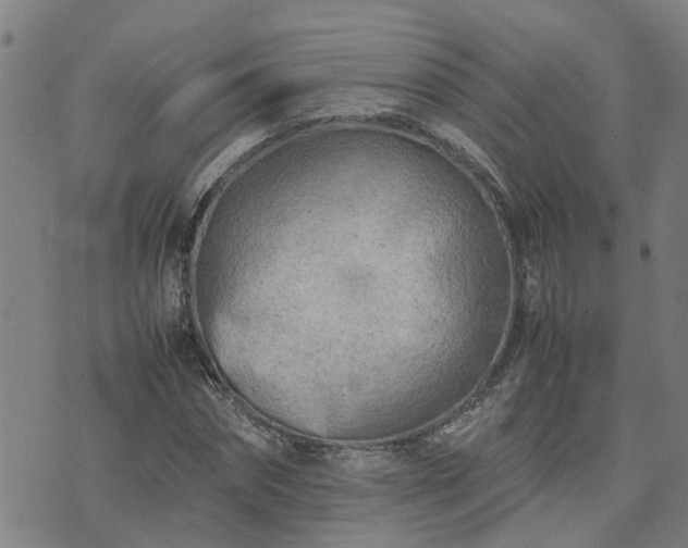 X0000074230874200609011239