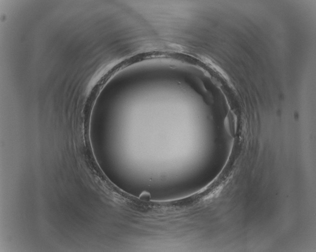 X0000074230877200609011239