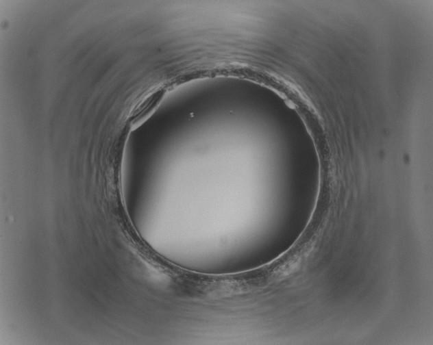 X0000074230881200609011239