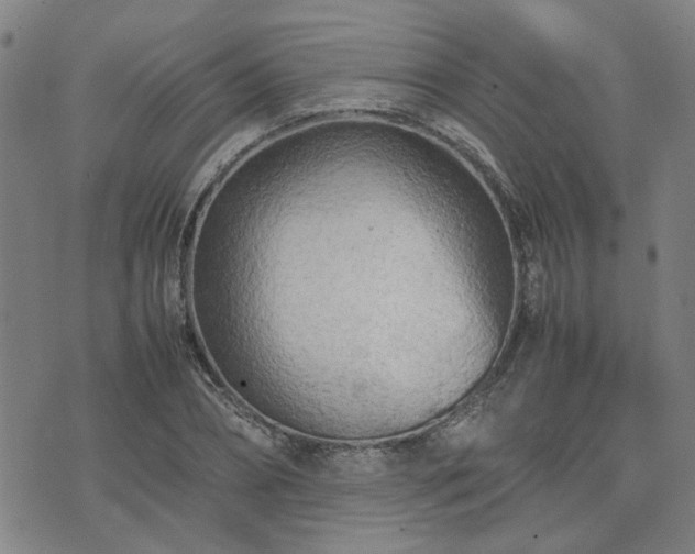 X0000074230882200609011239