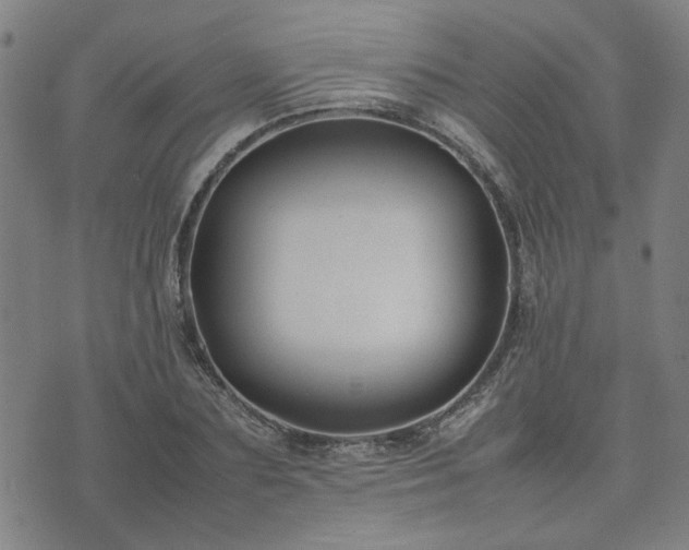 X0000074230883200609011239