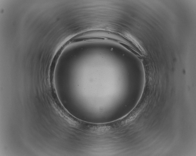 X0000074230884200609011239