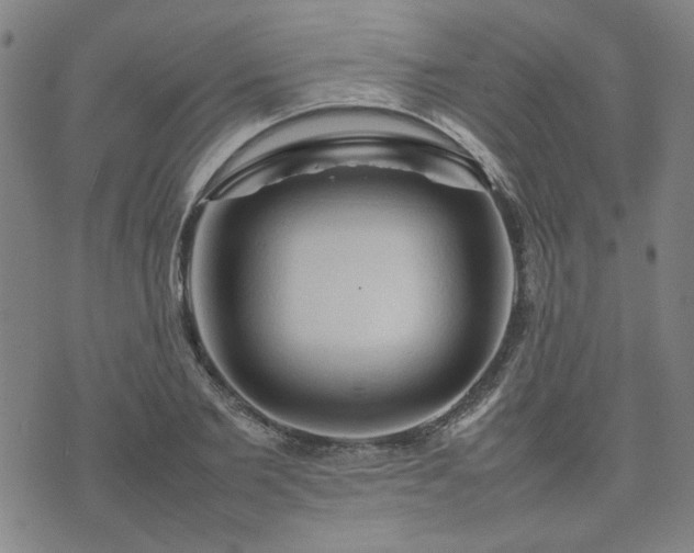 X0000074230885200609011239