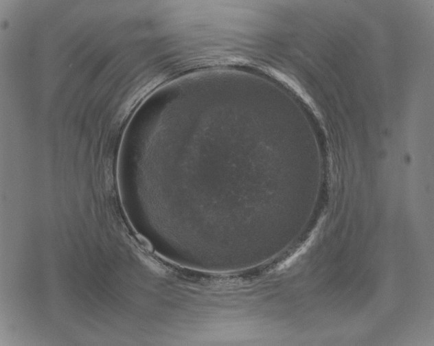 X0000074230889200609011239