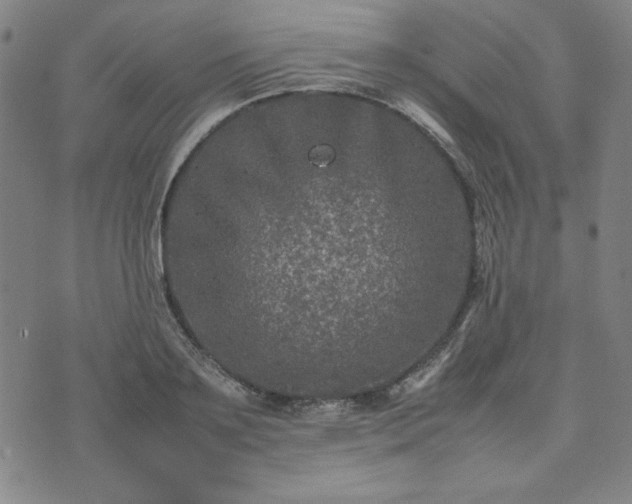 X0000074230891200609011239