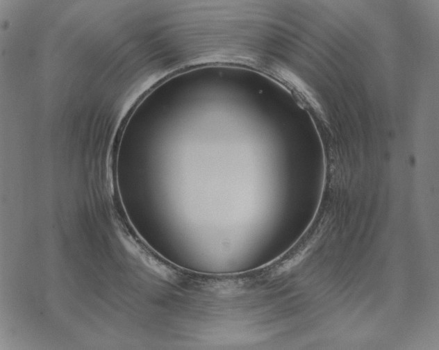 X0000074230892200609011239