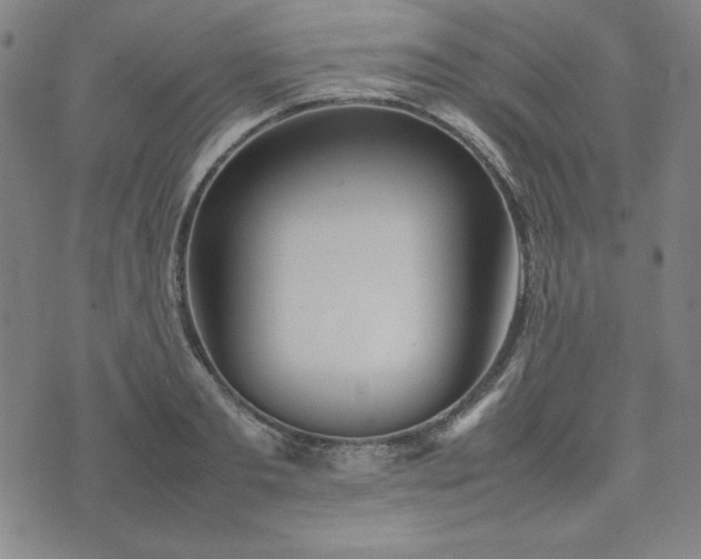 X0000074230893200609011239