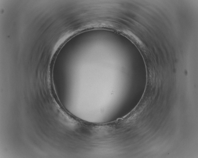 X0000074230894200609011239