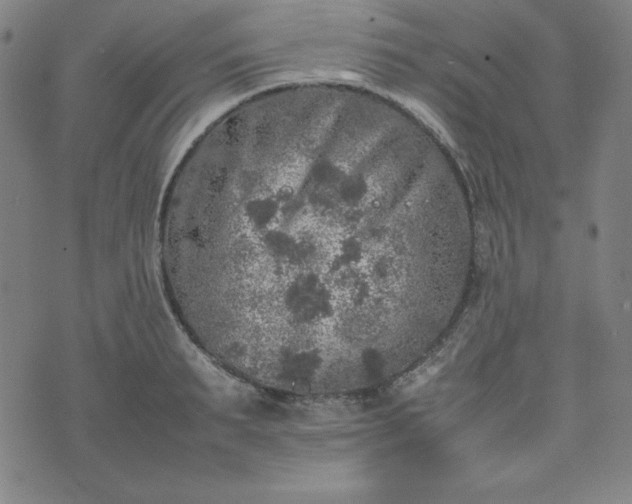 X0000074230895200609011239