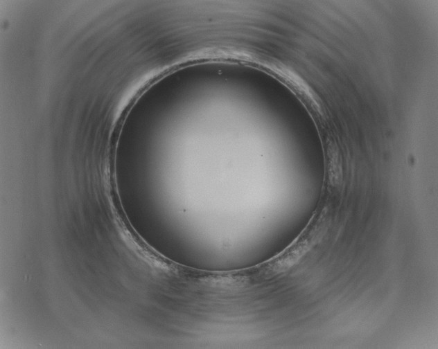 X0000074230896200609011239