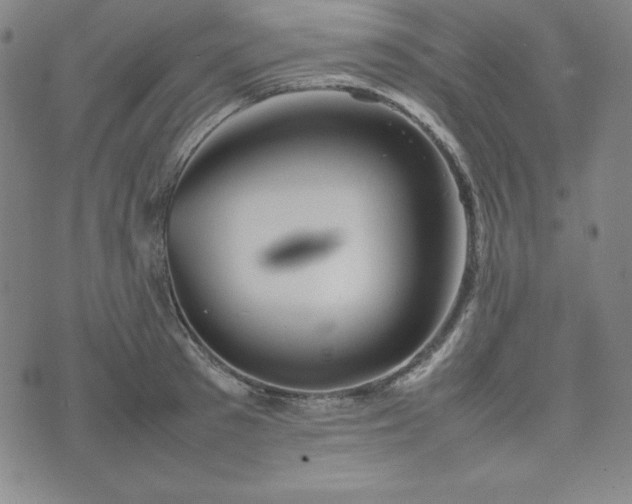 X0000074230897200609011239