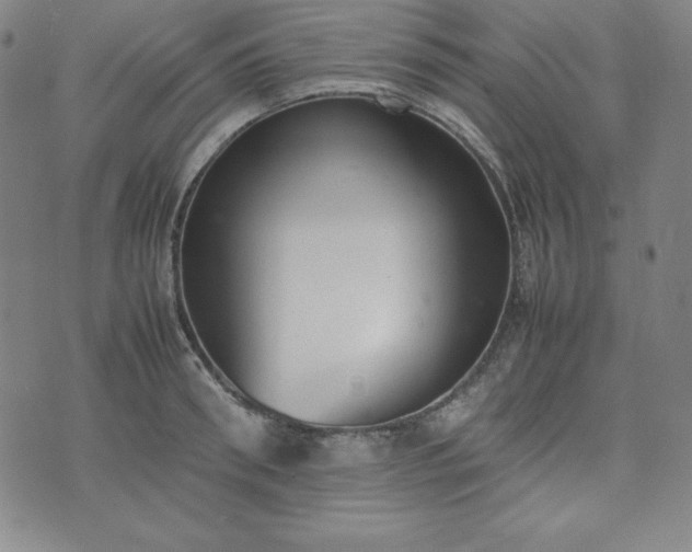 X0000074230898200609011239