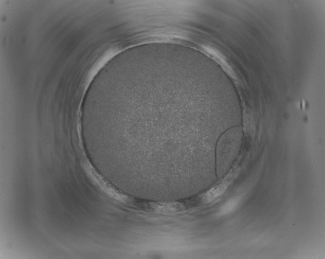 X0000074230899200609011239