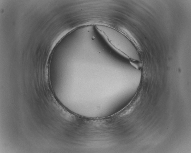 X0000074230900200609011239