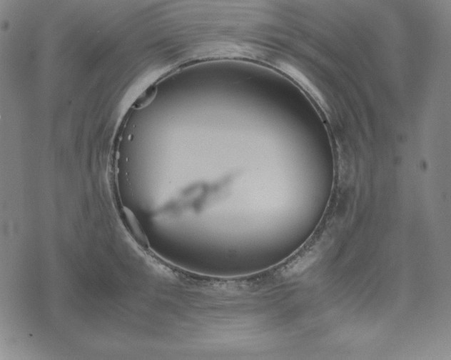 X0000074230901200609011239