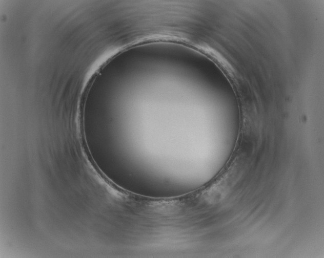 X0000074230902200609011239