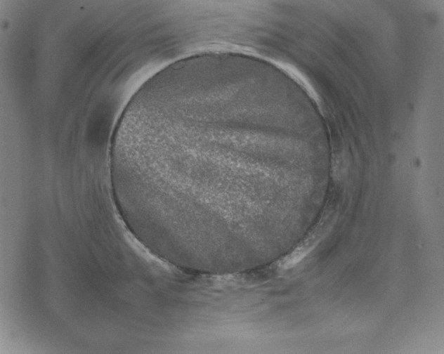 X0000074230903200609011239