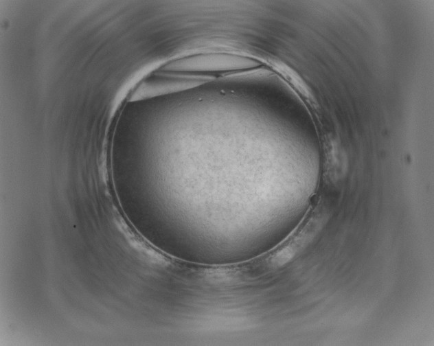 X0000074230904200609011239