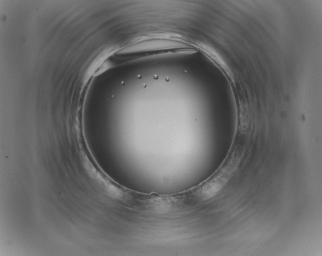 X0000074230906200609011239