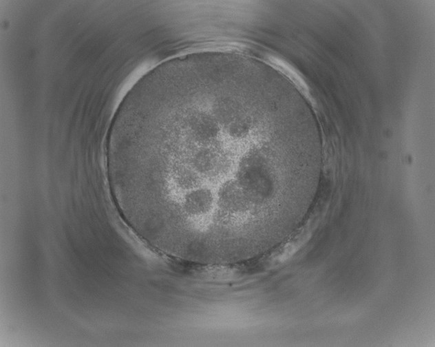 X0000074230907200609011239