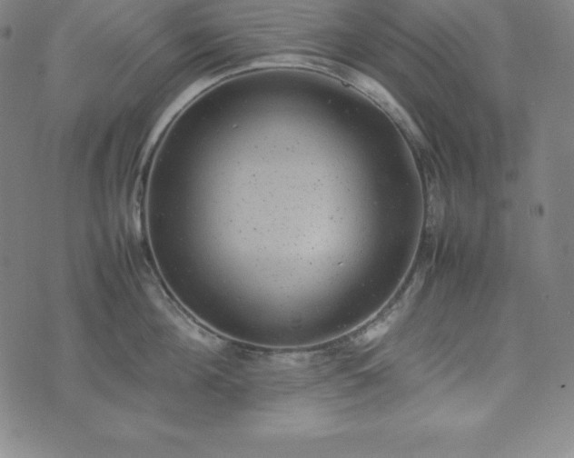 X0000074230908200609011239