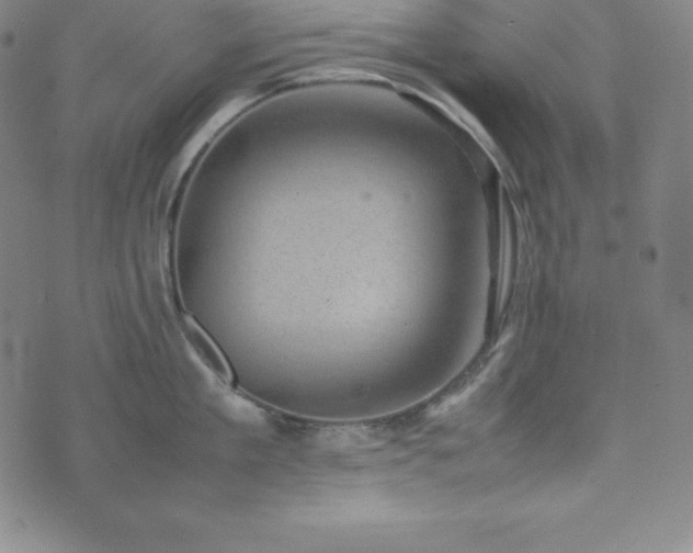 X0000074230909200609011238