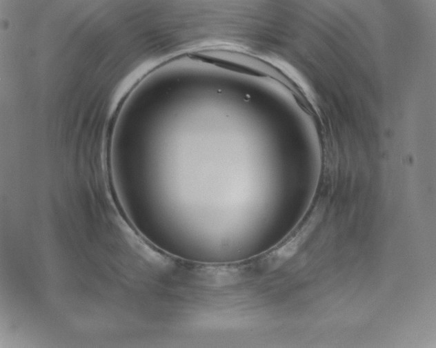 X0000074230910200609011238